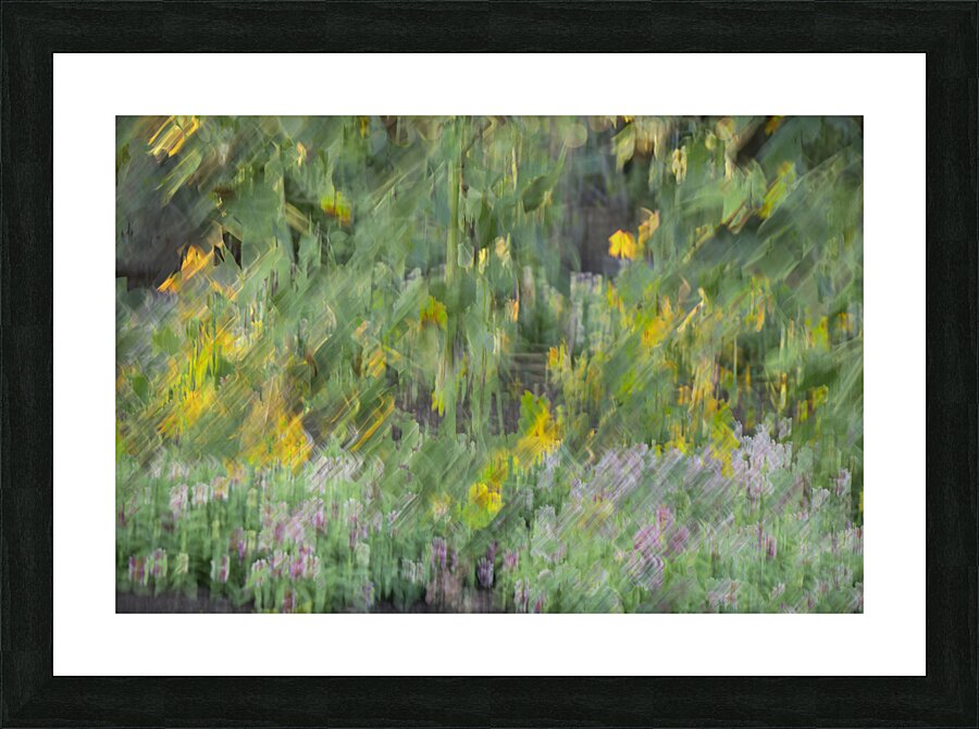 20240831 117 Picture Frame print