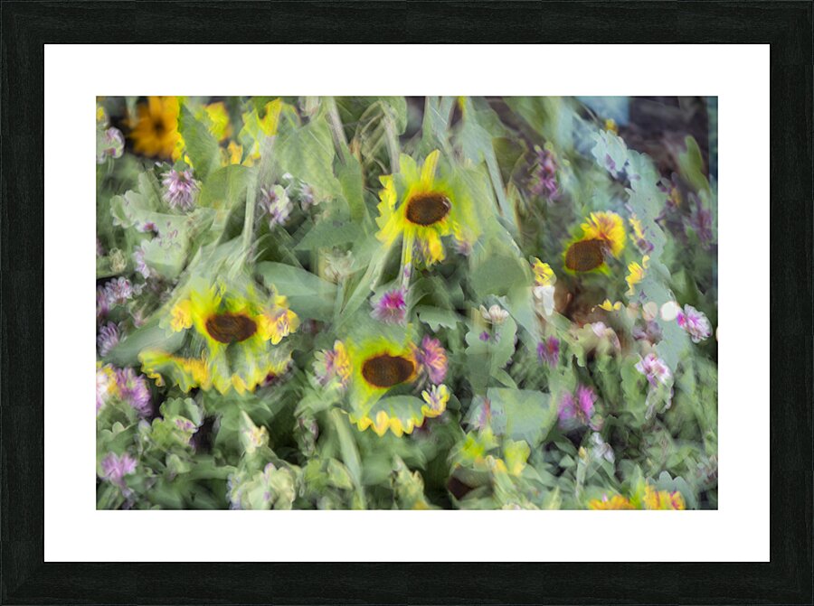 20240831 95 Picture Frame print