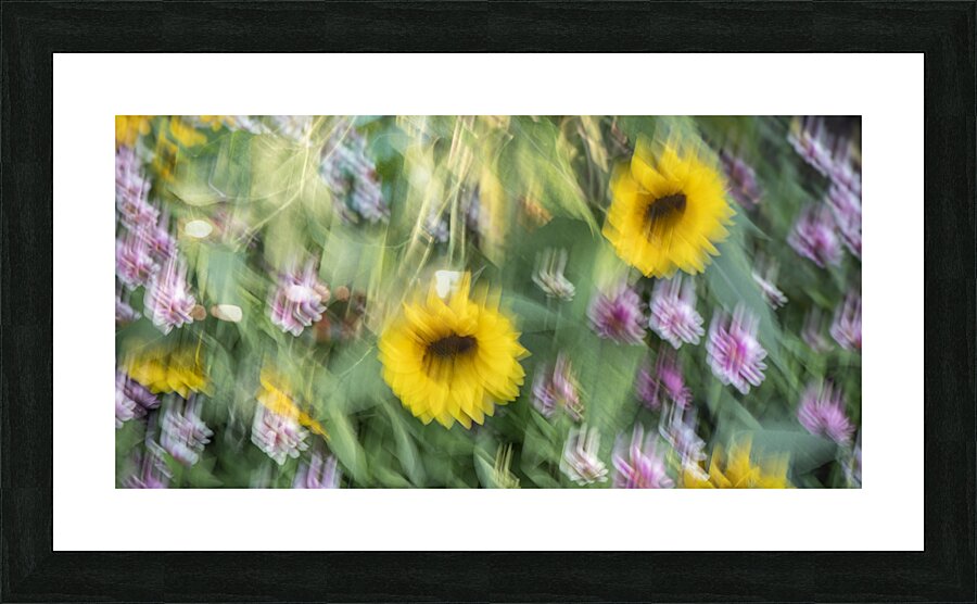 20240831 72 2 Picture Frame print