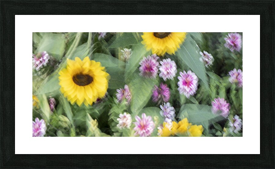 20240831 96 Picture Frame print