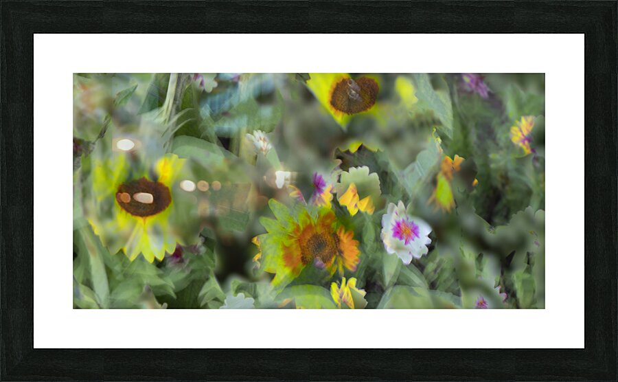 20240831 76 Picture Frame print