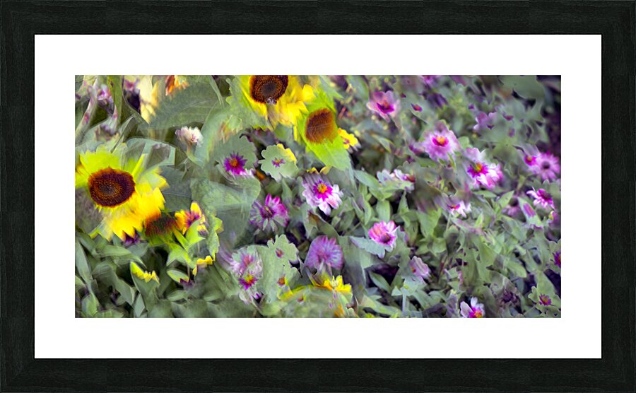 FS240831 69 Picture Frame print