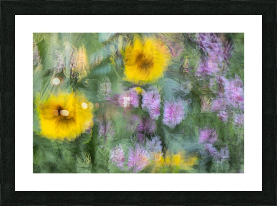FS240831 51 Picture Frame print