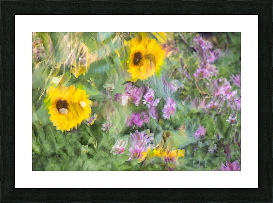 FS240831 61 Picture Frame print