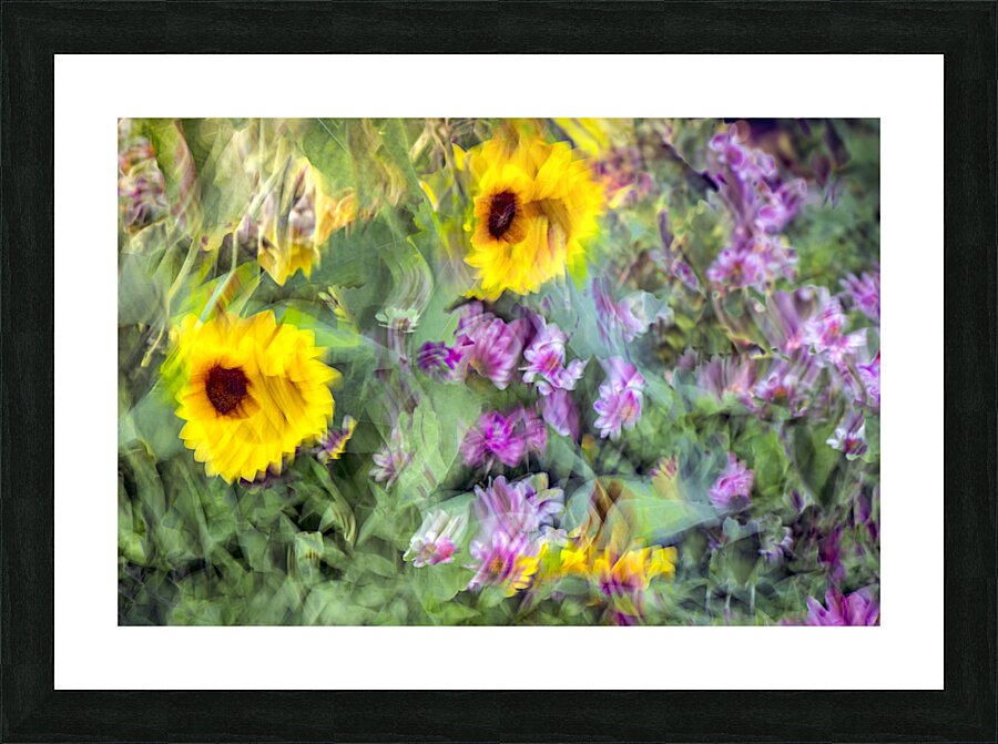FS240831 61 2 Picture Frame print