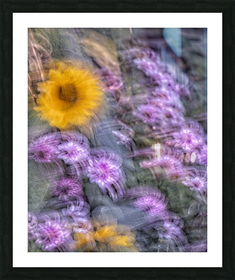 FS240831 64 Picture Frame print