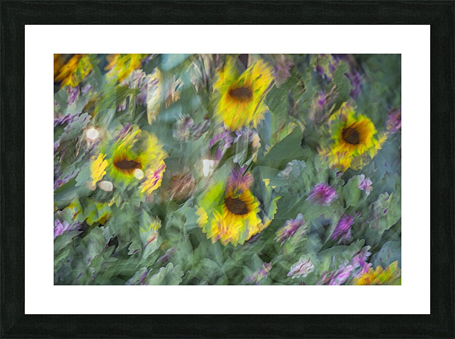 FS240831 68 Picture Frame print