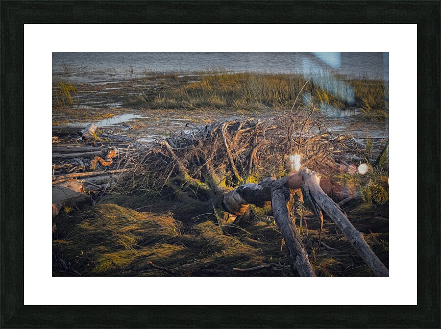 FS240828 9 Picture Frame print