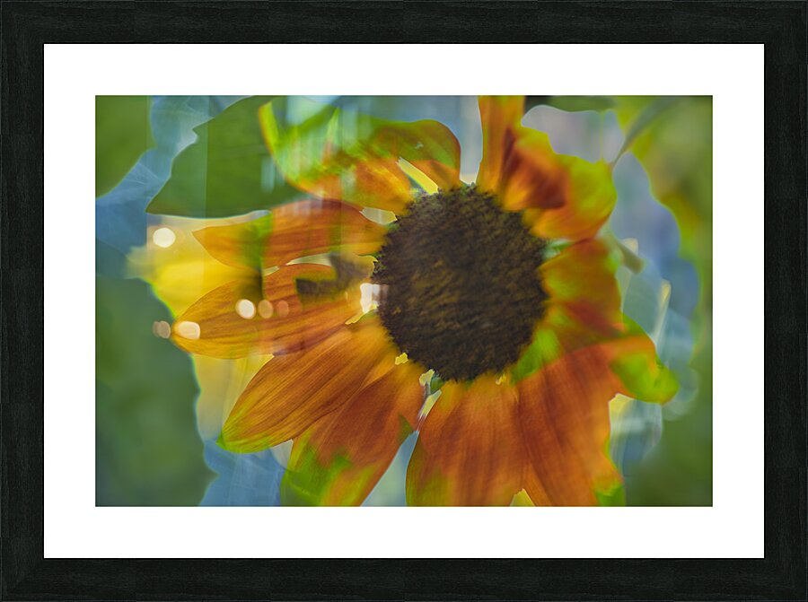fs240827 76 Picture Frame print