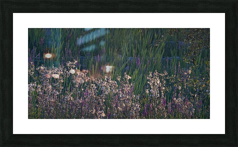 FS240811 85 Picture Frame print