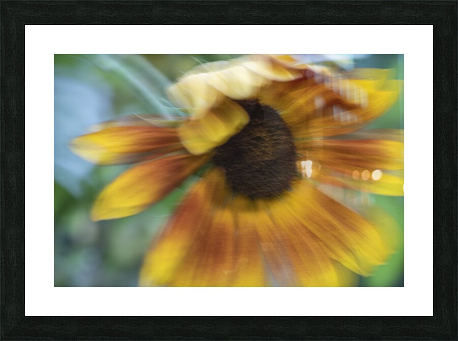 20240824 64 Picture Frame print
