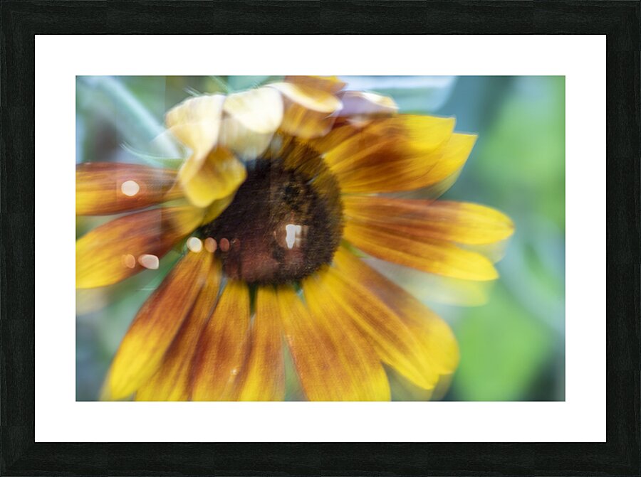 20240824 67 Picture Frame print