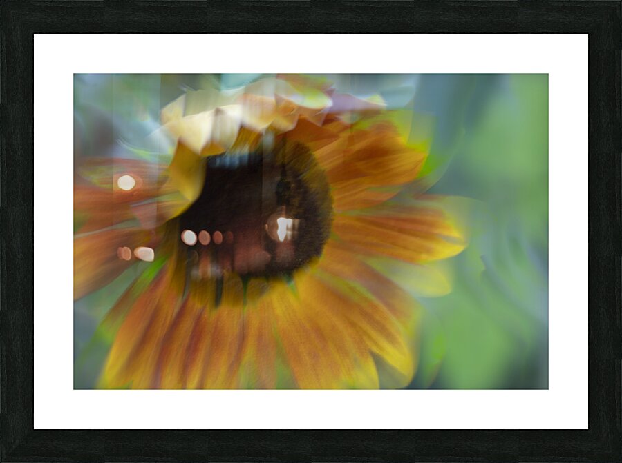 20240824 66 Picture Frame print