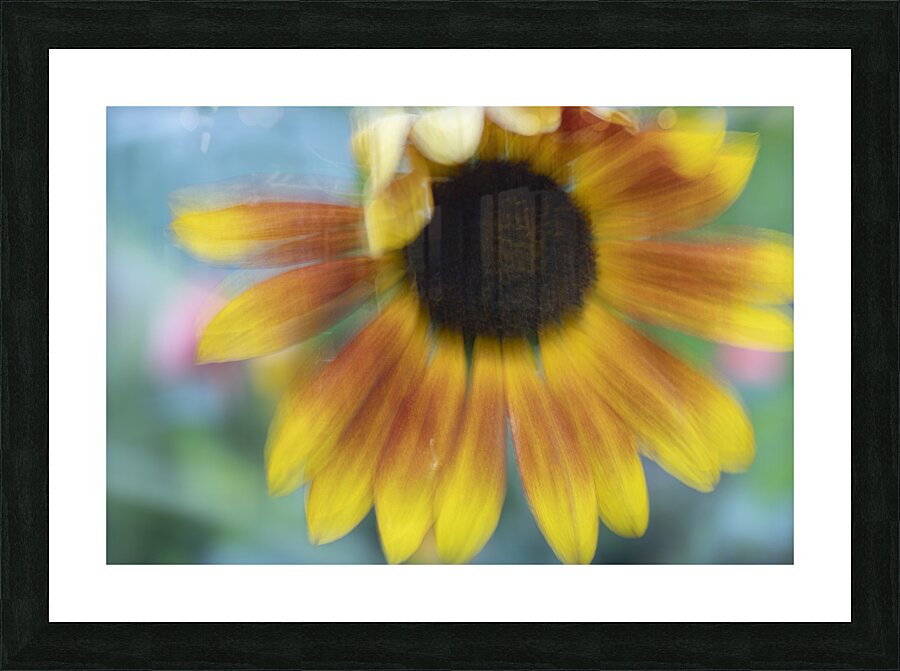 20240824 85 Picture Frame print