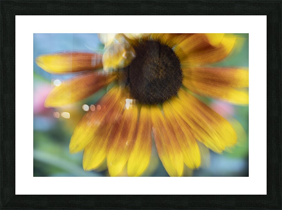 20240824 71 Picture Frame print