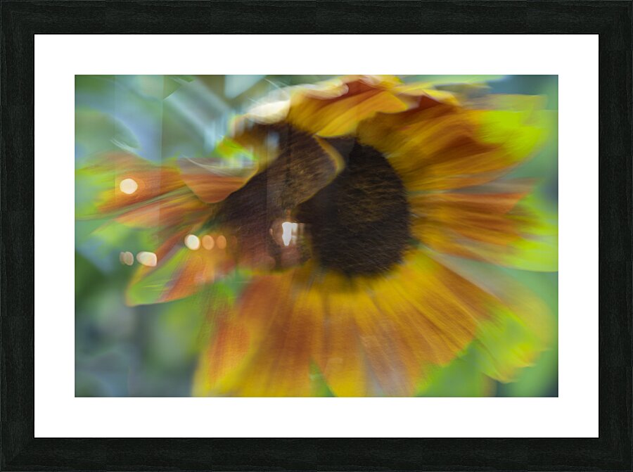 20240824 63 Picture Frame print