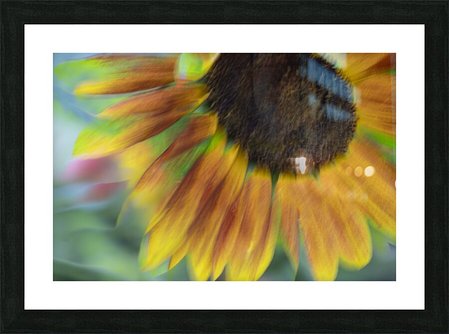 20240824 87 Picture Frame print