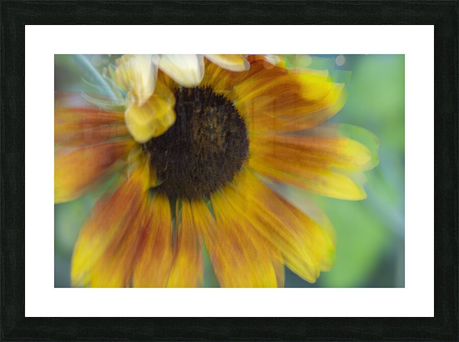 20240824 69 Picture Frame print