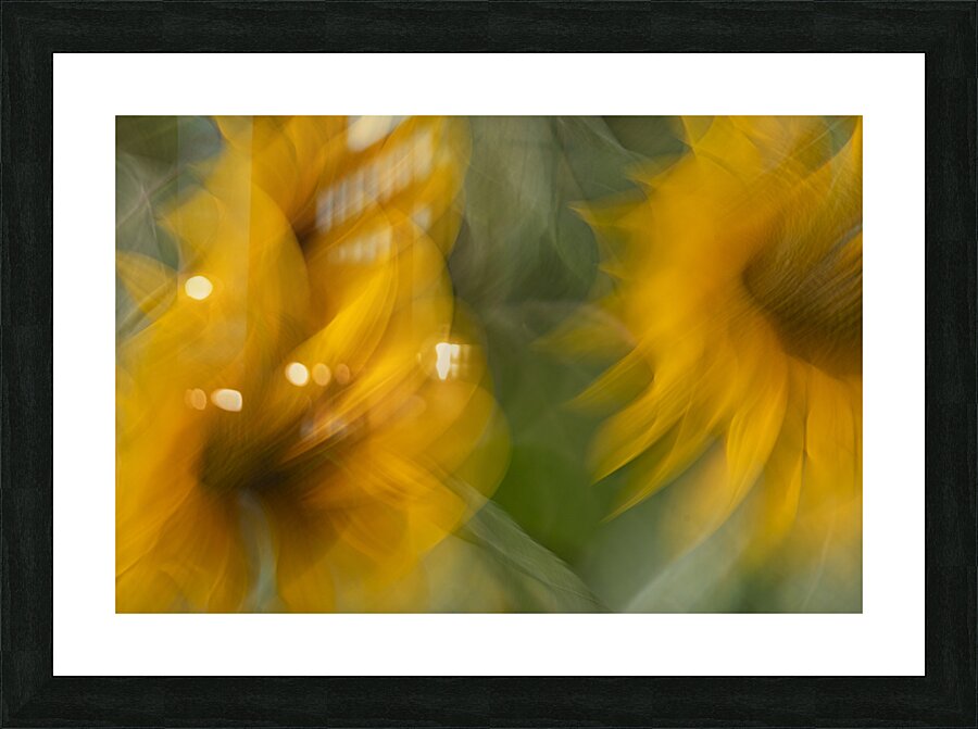 20240907 51 Picture Frame print