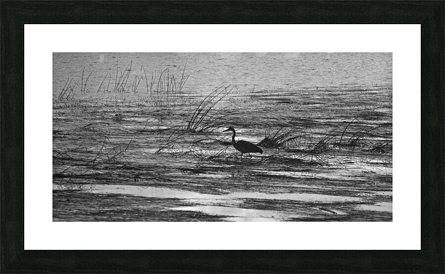 20240909 173  Picture Frame print