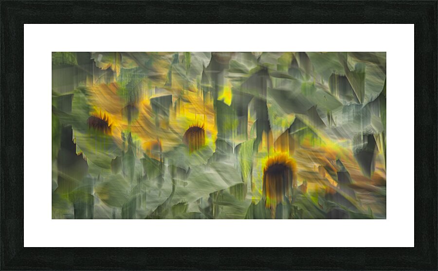 FS240902 147 Picture Frame print