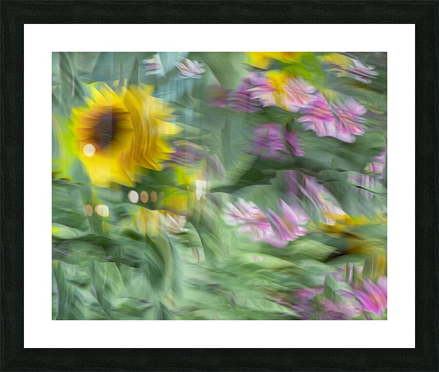 FS240901 54 Picture Frame print