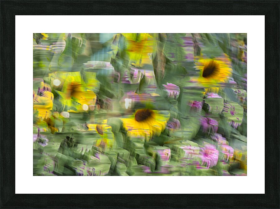FS240901 57 Picture Frame print