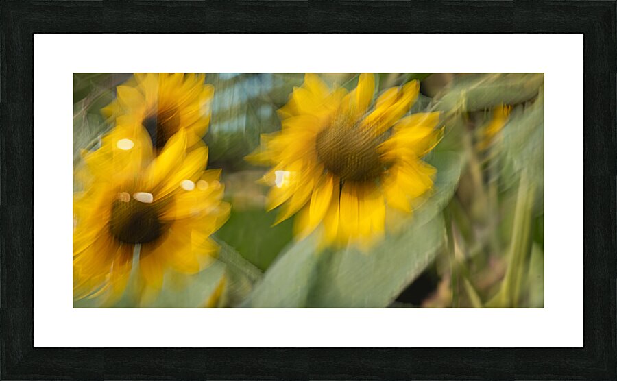FS240907 48 Picture Frame print