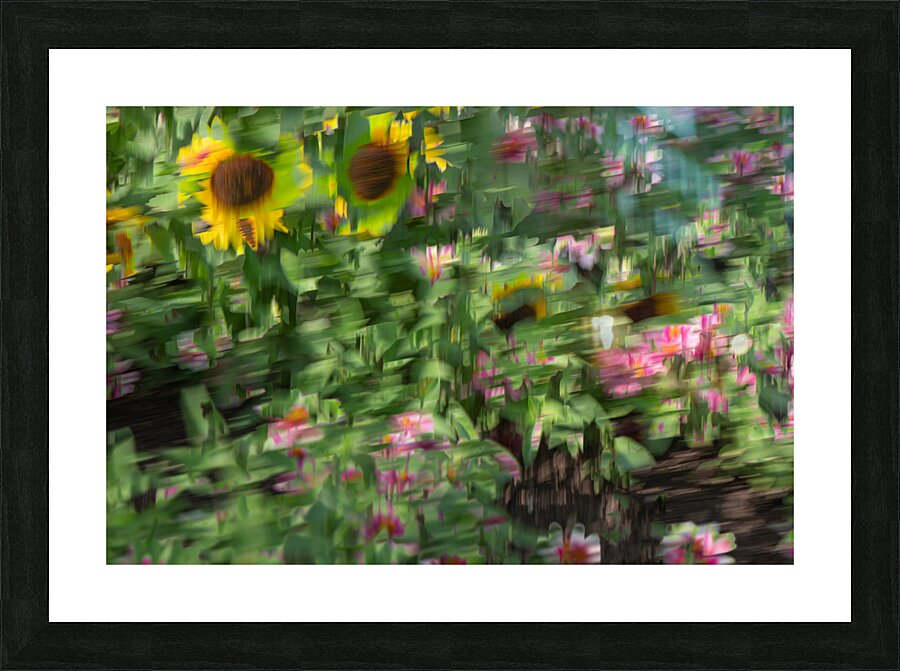 20240901 74 Picture Frame print