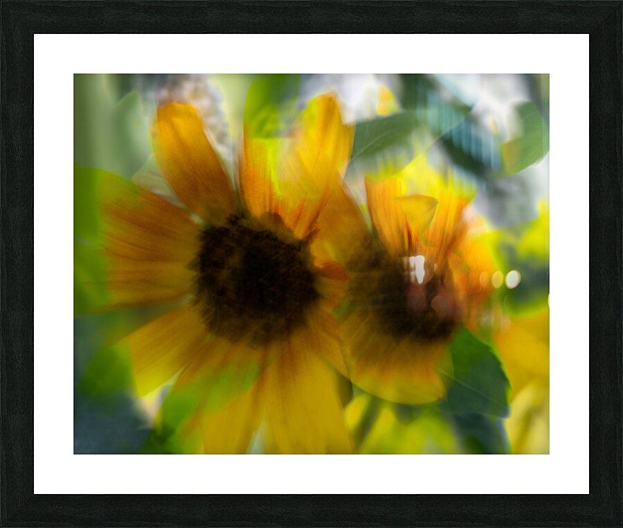 20240827 56 Picture Frame print