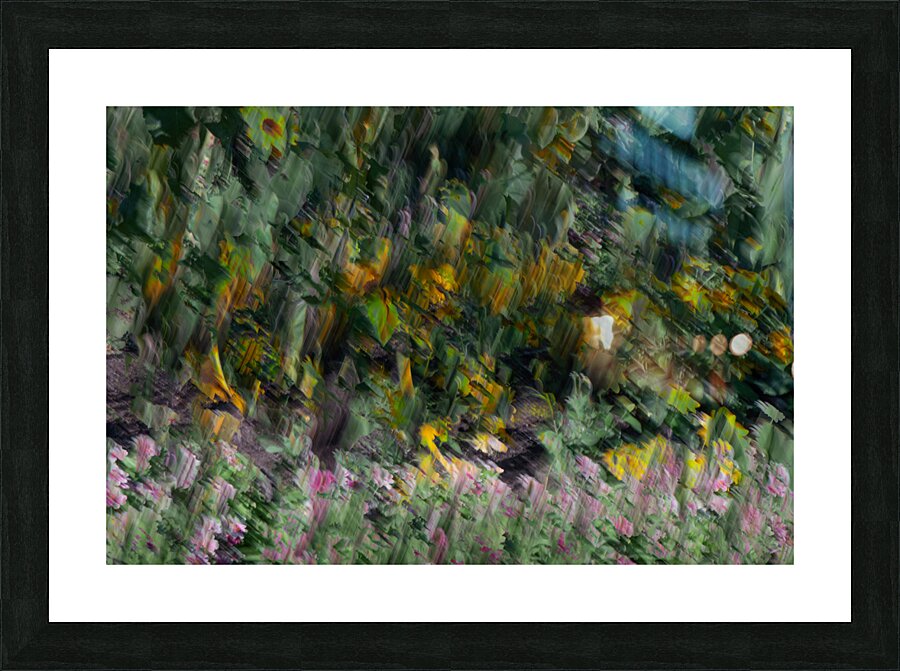 20240827 186 Picture Frame print