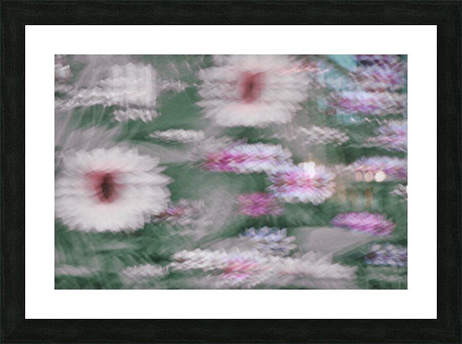 FS240831 47 Picture Frame print