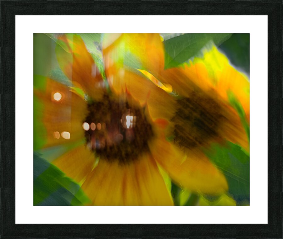 20240827 53 Edit Picture Frame print