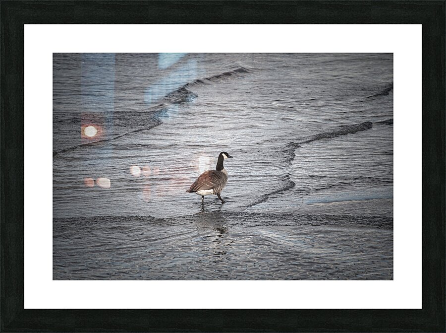 solitary Picture Frame print