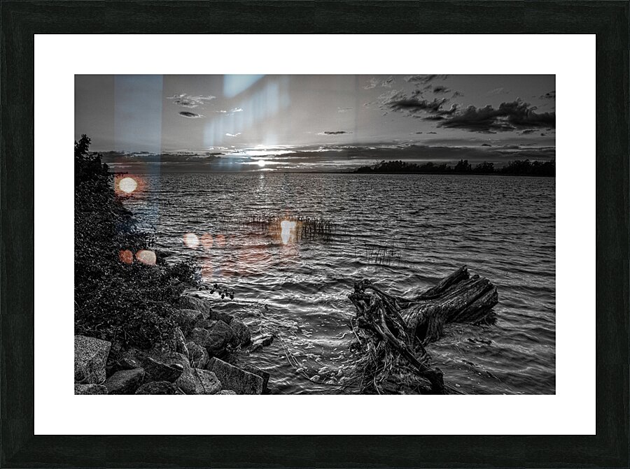 FS240724 78BW Picture Frame print