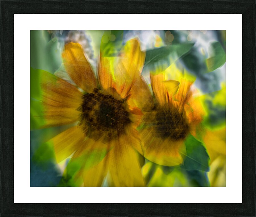 FS240827 56 Picture Frame print