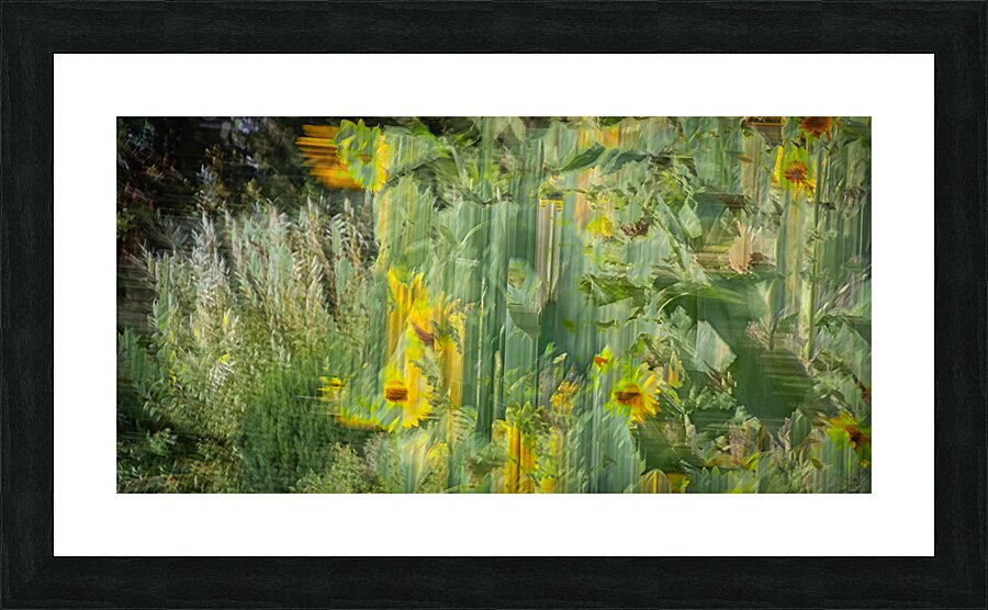 FS240820 13DW Picture Frame print