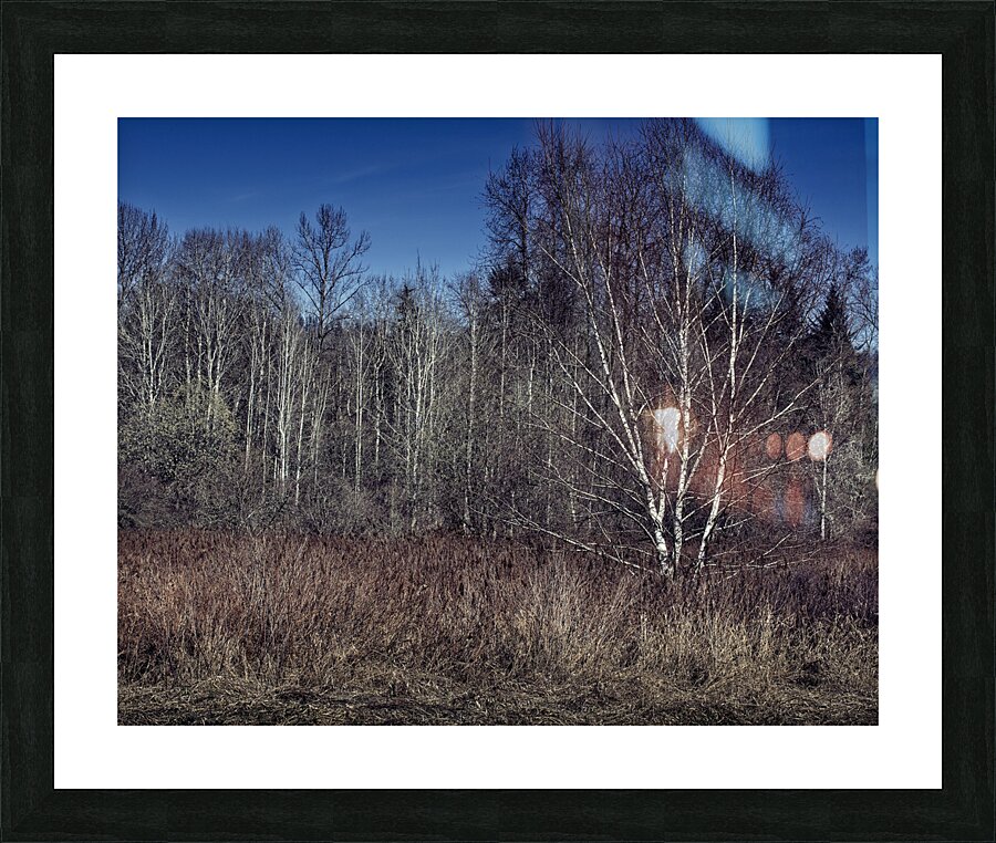FS240319 304 Picture Frame print