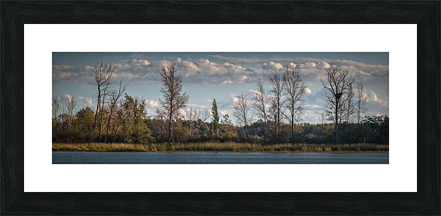 FS240929 Eagles Nest Picture Frame print
