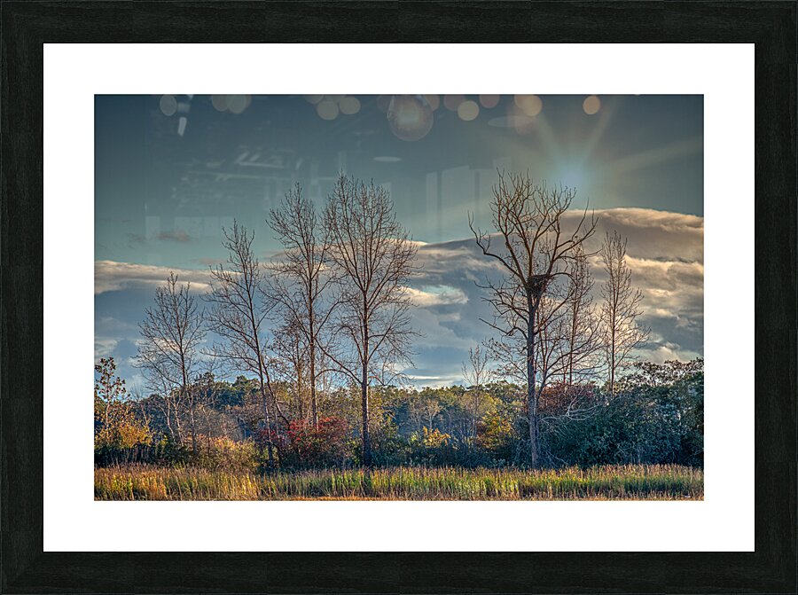 FS241004 Picture Frame print