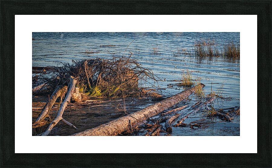 FS241002 24 Picture Frame print