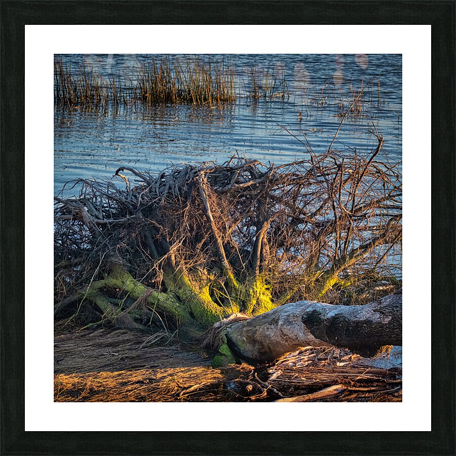 FS241002S Picture Frame print