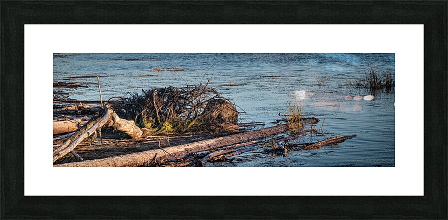 FS241002PANO Picture Frame print