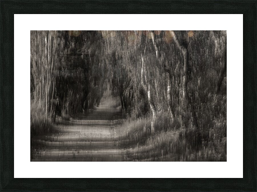 FS240910 THE PATH Picture Frame print