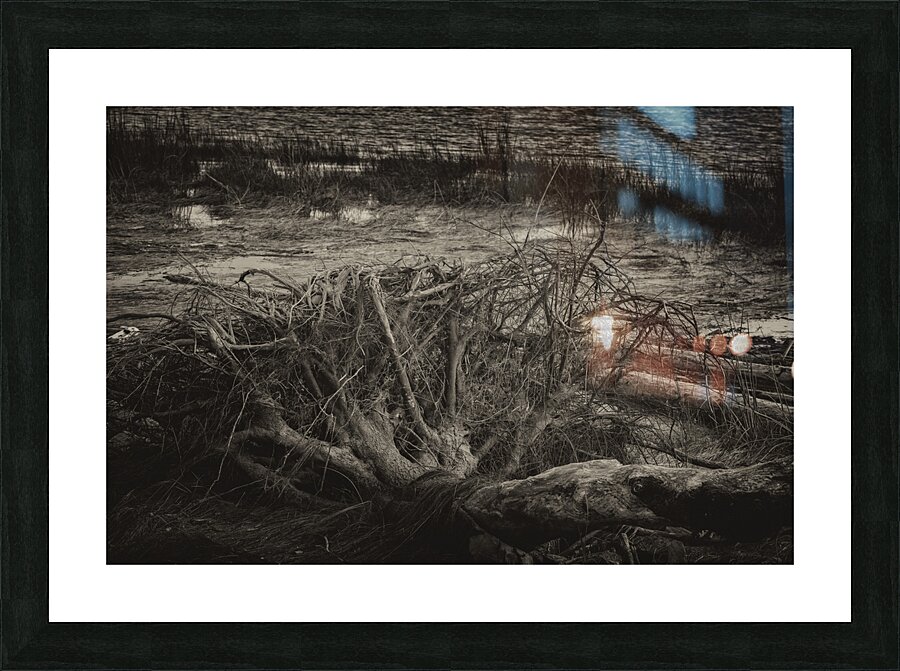 FS240909 107 Picture Frame print