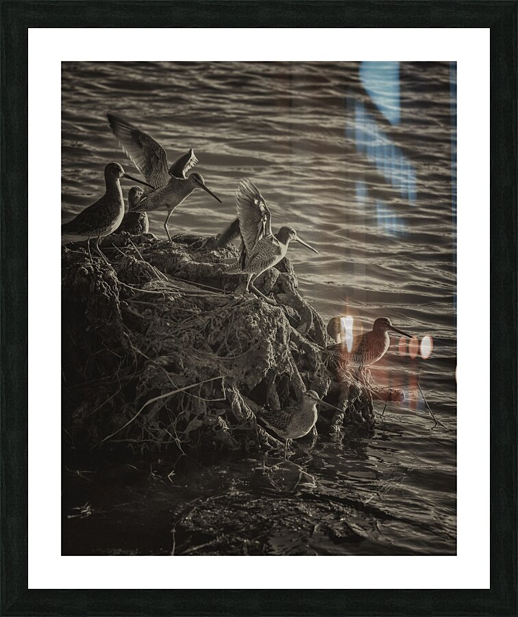 FS241004 00 Picture Frame print