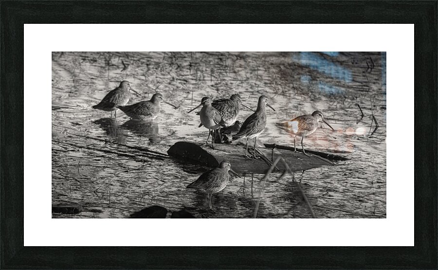 fs241004 157 Picture Frame print
