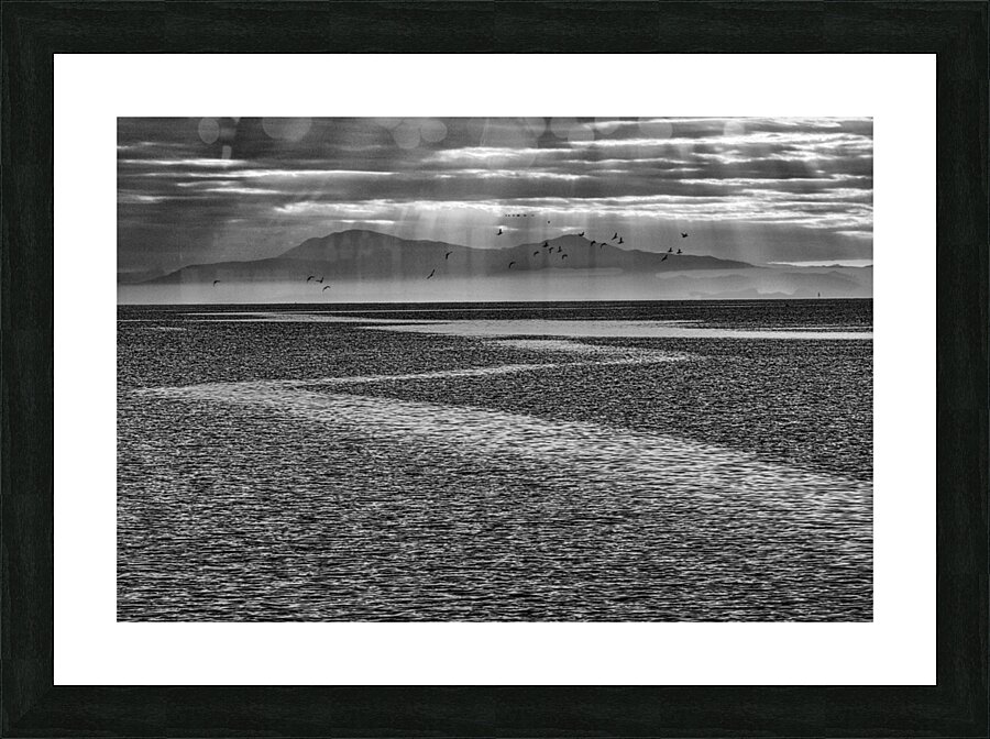 FS231012 171BW Picture Frame print