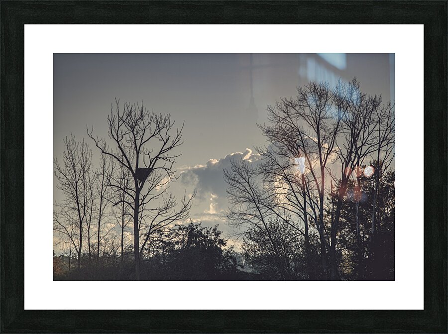 FS241022 Picture Frame print