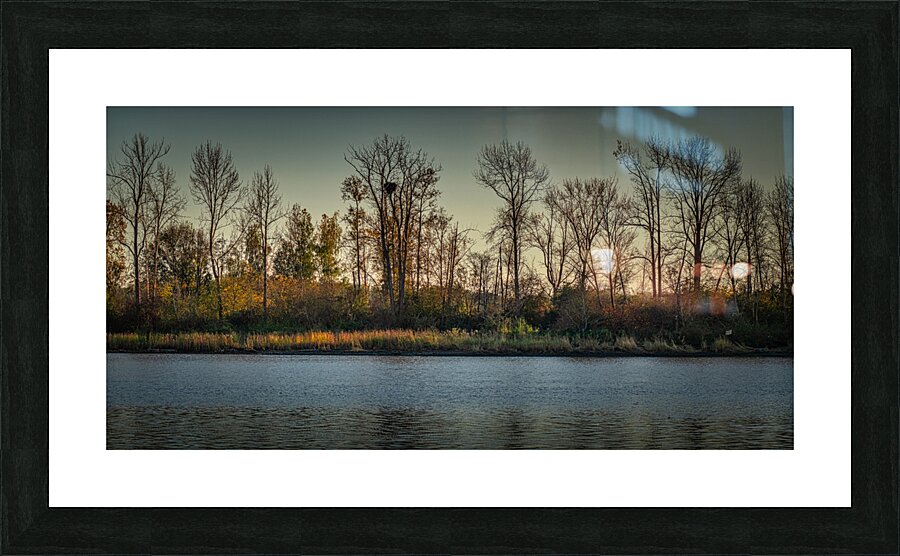 FS241022 EAGLE NEST Picture Frame print